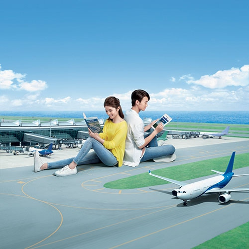 Diploma in Aviation Operations
